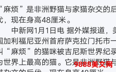 不就偷你一杯子txt微盘―不就偷你一杯子：探寻txt微盘的秘密世界